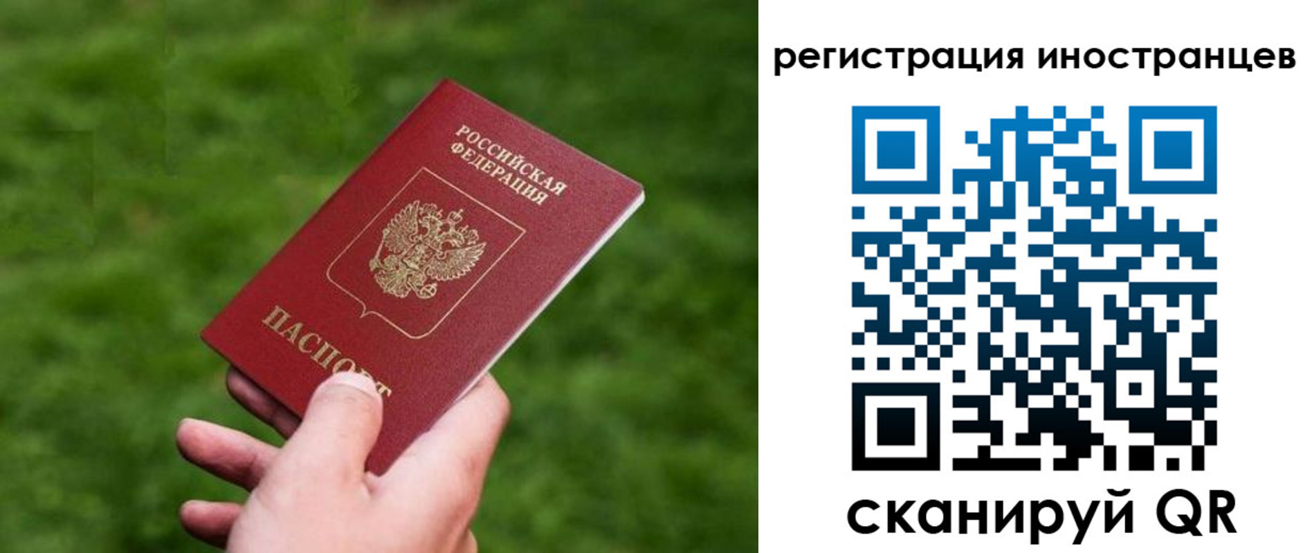 прописка ребенка в Воронежской области